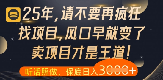 什么?25年你还在疯狂找项目做,醒醒吧,看完这些你全都懂了【揭秘】-蓝色空间-资源