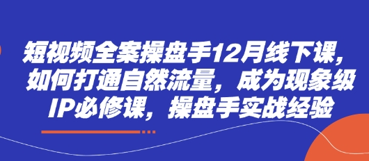 短视频全案操盘手12月线下课,如何打通自然流量,成为现象级IP必修课,操盘手实战经验-蓝色空间-资源