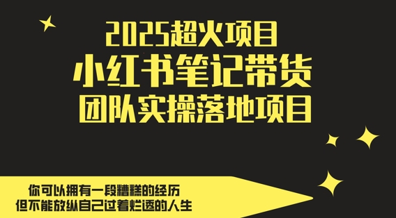 2025超火项目,副业最佳选择,小红书笔记带货团队实操落地项目,,轻松日入5张-蓝色空间-资源