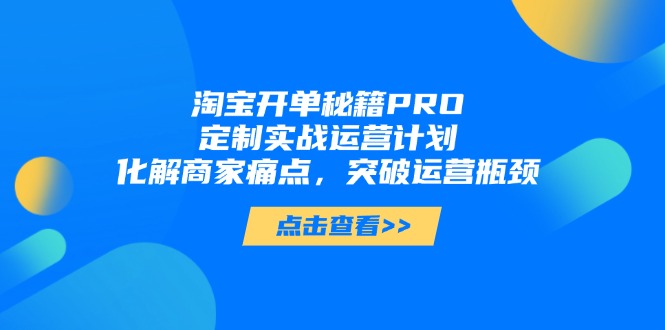 淘宝开单秘籍PRO,定制实战运营计划,化解商家痛点,突破运营瓶颈-蓝色空间-资源