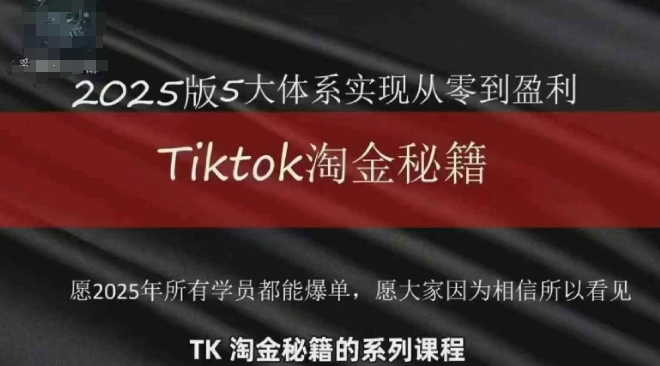 TikTok跨境2025淘金秘籍,2025TikTok从0到盈利变现-蓝色空间-资源