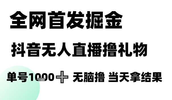 全网首发掘金抖音无人直播撸礼物,单号1k +无脑撸,当天拿结果【揭秘】-蓝色空间-资源