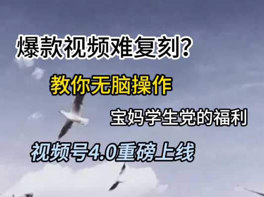 视频号4.0重磅上线,爆款视频难复刻?教你无脑操作宝妈学生党的福利【揭秘】-蓝色空间-资源
