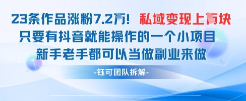 抖音私域项目23条作品涨粉7.2W,私域变现1W-蓝色空间-资源