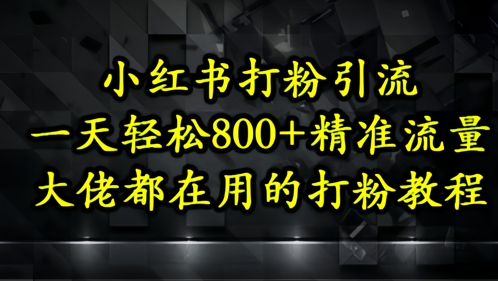 小红书打粉引流，一天轻松500+精准流量，大佬都在用的打粉教程-蓝色空间-资源