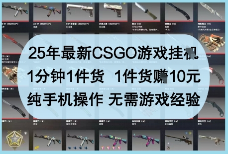 25年最新CSGO游戏挂G，1分钟1件货，1件货挣10元，纯手机操作，无需游戏经验【揭秘】-蓝色空间-资源