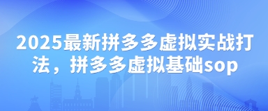 2025最新拼多多虚拟实战打法,拼多多虚拟基础sop-蓝色空间-资源