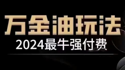 2024最牛强付费,万金油强付费玩法,干货满满,全程实操起飞(更新25年04月)-蓝色空间-资源