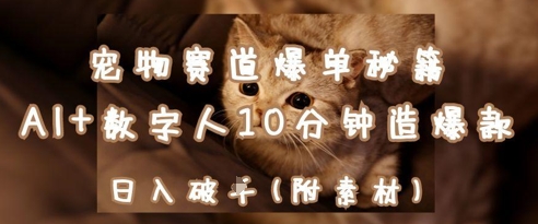 宠物赛道爆单秘籍:AI+数字人10分钟造爆款,日入1k-蓝色空间-资源