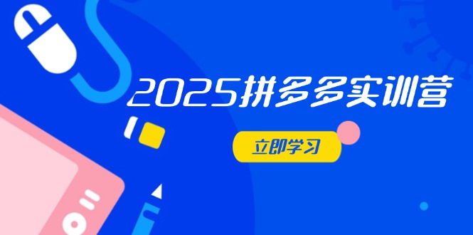 2025拼多多实训营：深度剖析运营关键，助力电商人快速提升-蓝色空间-资源
