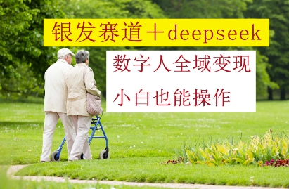 银发赛道+deepseek数字人全域变现，小白也能操作-蓝色空间-资源