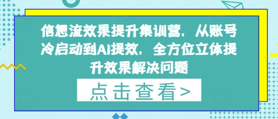 信息流效果提升集训营，从账号冷启动到AI提效，全方位立体提升效果解决问题-蓝色空间-资源