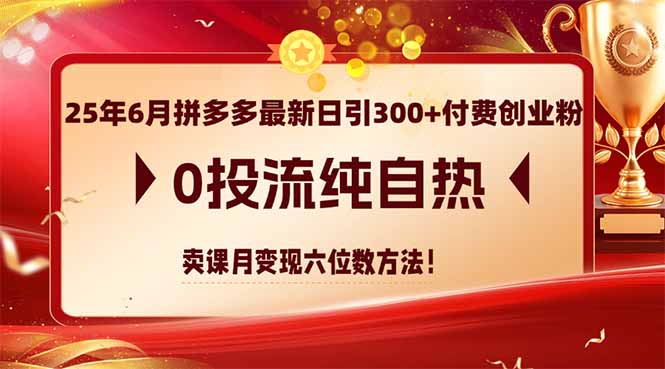 25年6月拼多多最新日引300+付费创业粉,0投流纯自热 卖课月变现六位数方法-蓝色空间-资源